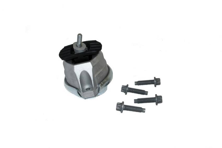 BMW Engine Mount Kit - Driver Side (w/ Hardware) - Rein AVK0040